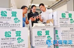 昆明机场海关进出口货物825吨 业务稳步回升