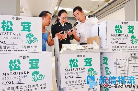 昆明机场海关进出口货物825吨 业务稳步回升