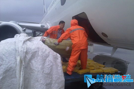 他们，用双手托起了山航货运