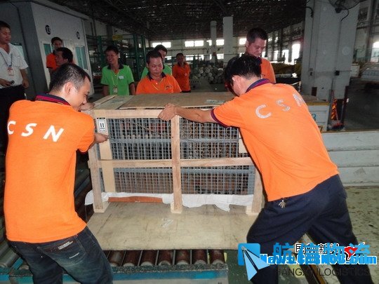 南航深圳精心保障 让金钱豹入驻荆州动物园